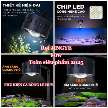 Đèn Rọi JINGYE 80w Siêu Phẩm 2025 RGB Đỏ Cá Không Đỏ Nước Cho Thủy Sinh, Rồng, Cá Vàng, Cá Koi Giành Cho Bể Cá
