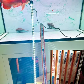 Đèn Led T4 KAOKUI Hoặc VIPSUN Ánh Sáng Trắng Giành Cho Hồ Cá, Hồ Thủy Sinh Kích Thước 72 92 112cm