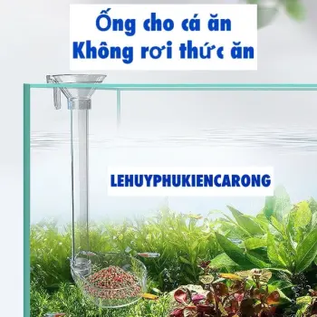Ống Cho Cá Ăn Không Rơi Thức Ăn Xuống Hồ Kèm Cọ Vệ Sinh Ống Dài 22cm 35cm