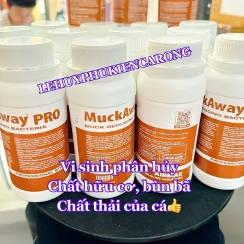Vi Sinh Dị Dưỡng MuckAway Pro Phân Huỷ Phân Cá, Bùn Bã Cà Chất Thải Cho Bể Cá