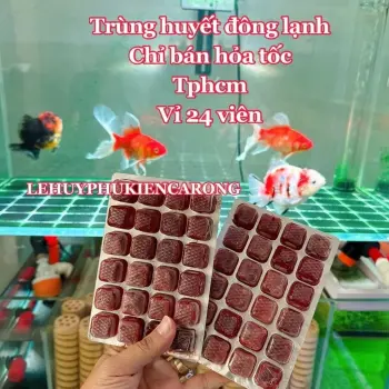 Trùng Huyết Đông Lạnh Dạng Vĩ 24 Viên Thức Ăn Dinh Dưỡng Cho Cá Cảnh