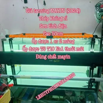 Giá TANNING MAYIN (Mẫu Mới 2024) Thế Hệ 3 Kích Thước 50cm Giành Cho Hồ Cá