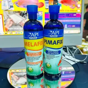 COMBO MELAFIX POND Và PIMAFIX POND Chai 473ml - Siêu Tiết Kiệm Giành Cho Bể Cá