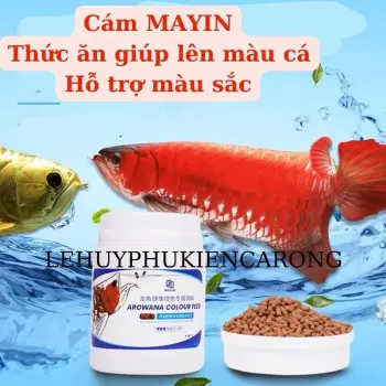 Thức Ăn Siêu Tăng Màu Cá Rồng Mayin Arowana colour Feed 500gr - Cám Tăng Màu Cho Cá Rồng