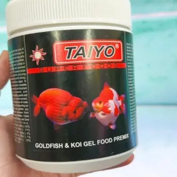 Cám Cá Vàng, Cá RanChu, BingBong Dạng Hộp 500g