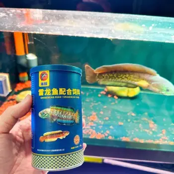 Thức Ăn Cá Lóc Giúp Lên Màu Cá, Tăng Màu Sắc, Bóng Vảy Porpoise Hủ 125g