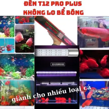 Đèn T12 PRO PLUS Đỏ Cá + Tặng Kèm Kẹp Giằng, Công Nghệ Bóng Arcylic Không Lo Bể Bóng