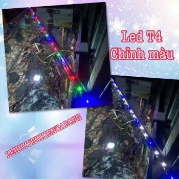 Đèn Led T4 VIPSUN Hoặc KAOKUI Ánh Sáng Trắng Giành Cho Hồ Cá, Hồ Thủy Sinh Kích Thước 72 92 112cm