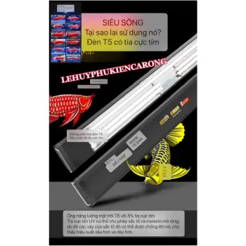 Đèn Máng Tanning Cá Rồng Huyết , Porm Bối Vàng Chứa 5% Tia UV Ánh Sáng Trắng Rất Hiệu Quả Kích Thước 116cm và 142cm
