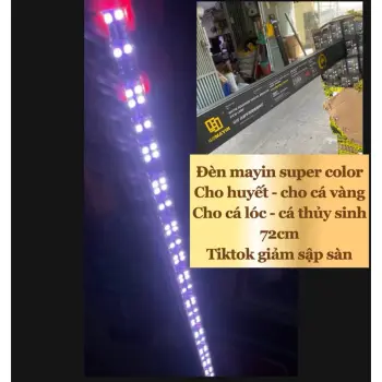 Đèn MAYIN SUPER COLOR 2 Huyết Long, Cá Vàng Cá Ánh Xanh Đỏ Đèn Giành Cho Hồ Cá