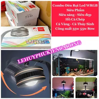 Combo Đèn Rọi Led WRGB - Siêu Phẩm - Siêu Sáng - Siêu Đẹp Cho Hồ Cá Chép - Cá Vàng - Cá Thủy Sinh Công Suất 35w 55w 80w