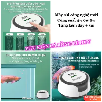 Máy Sủi Oxy Hồ Cá JINGYE Công Nghệ 2025 Loại Bỏ Tiếng Ồn, Cảm Ứng Siêu Êm 4w 6w 8w Tặng Kèm Dây Và Sủi Giành Cho Bể Cá