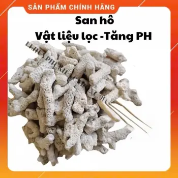 San Hô Lọc Nước Hồ Cá - Giúp Tăng PH - Loại 500g/1Kg + Kèm Túi Vật Liệu Lọc