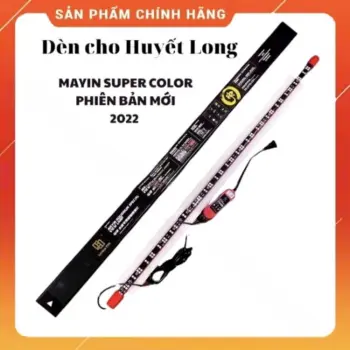 Đèn MAYIN SUPER COLOR Thế Hệ 2 Cho Huyết Long, Cá Vàng, Cá Chép, Cá Lóc Kích Thước 72 92 142 172cm Giành Cho Hồ Cá