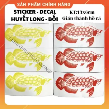 DECAL Hồ Cá - STICKER Dán Thành Hồ Cá Rồng Huyết Long, Bối Vàng Kích Thước 17x6cm