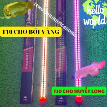 Đèn Led T10 4 Hàng Bóng Cho Huyết Long - Cho Bối Vàng Phiên Bản Mới Nhất Của Dòng T10 Kích Thước 95cm 115cm 145cm
