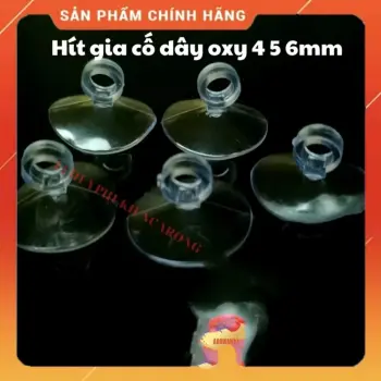 Hít Kính Gia Cố Giữ Ống DÂY OXY 4mm 5mm 6mm Cho Hồ Cá Cảnh