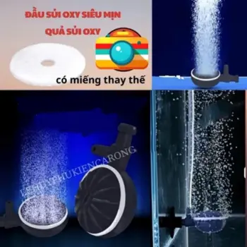 Đầu Sủi Oxy Mịn, Quả Sủi Khuếch Tán OXY